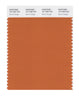 Pantone SMART Color Swatch 16-1448 TCX Burnt Orange