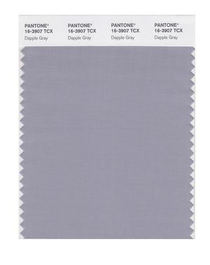 Pantone SMART Color Swatch 16-3907 TCX Dapple Gray