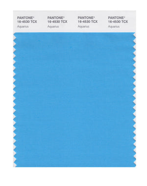 Pantone SMART Color Swatch 16-4530 TCX Aquarius