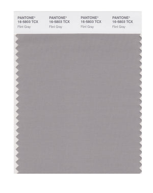 Pantone SMART Color Swatch 16-5803 TCX Flint Gray