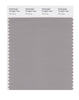Pantone SMART Color Swatch 16-5803 TCX Flint Gray