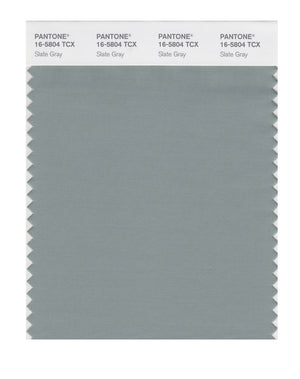 Pantone SMART Color Swatch 16-5804 TCX Slate Gray