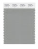 Pantone SMART Color Swatch 16-5904 TCX Wrought Iron
