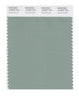 Pantone SMART Color Swatch 16-5907 TCX Granite Green