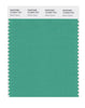 Pantone SMART Color Swatch 16-5924 TCX Winter Green