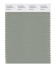 Pantone SMART Color Swatch 16-6008 TCX Seagrass