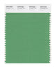 Pantone SMART Color Swatch 16-6329 TCX Peppermint