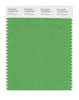 Pantone SMART Color Swatch 16-6339 TCX Vibrant Green
