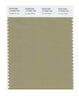 Pantone SMART Color Swatch 16-0205 TCX Vintage Khaki