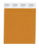 Pantone SMART Color Swatch 16-1149 TCX Desert Sun