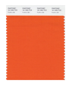Pantone SMART Color Swatch 16-1363 TCX Puffin's Bill