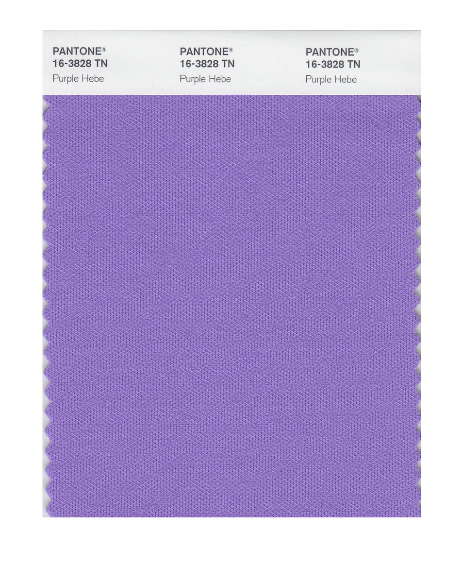 16_3828_PurpleHebe_50affdd5-