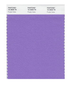 Pantone Nylon Brights Color Swatch 16-3828 TN Purple Hebe