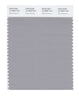 Pantone SMART Color Swatch 16-3850 TCX Silver Sconce