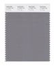 Pantone SMART Color Swatch 17-0000 TCX Frost Gray