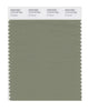 Pantone SMART Color Swatch 17-0115 TCX Oil Green