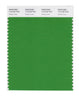 Pantone SMART Color Swatch 17-0145 TCX Online Lime