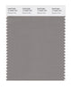 Pantone SMART Color Swatch 17-0205 TCX Elephant Skin