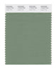 Pantone SMART Color Swatch 17-0210 TCX Loden Frost