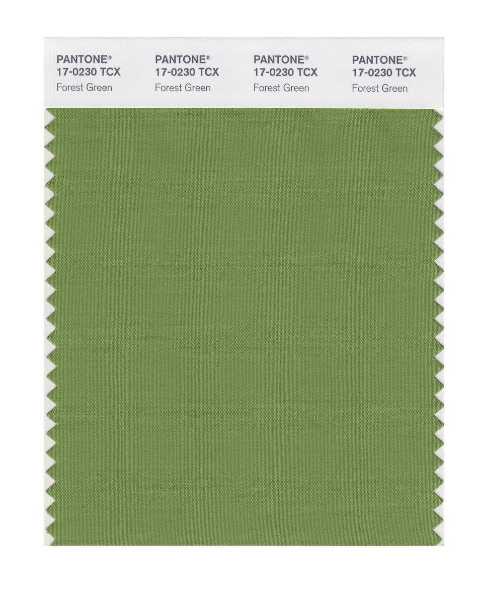 Forest Green Pantone Colors Forest Theme Pantone Colour Palette