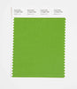 Pantone SMART Color Swatch 17-0232 TCX Salted Lime