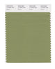 Pantone SMART Color Swatch 17-0324 TCX Epsom