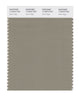 Pantone SMART Color Swatch 17-0510 TCX Silver Sage