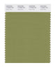 Pantone SMART Color Swatch 17-0535 TCX Green Olive