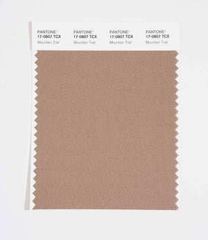 Pantone SMART Color Swatch 17-0807 TCX Mountain Trail