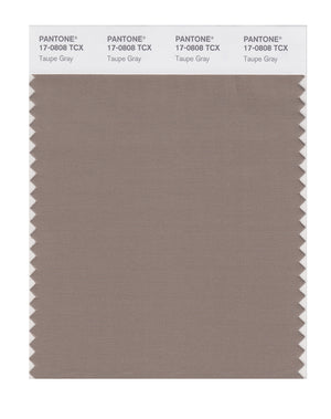 Pantone SMART Color Swatch 17-0808 TCX Taupe Gray