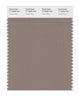 Pantone SMART Color Swatch 17-0808 TCX Taupe Gray