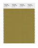 Pantone SMART Color Swatch 17-0836 TCX Ecru Olive