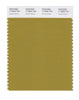 Pantone SMART Color Swatch 17-0840 TCX Amber Green