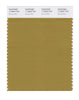 Pantone SMART Color Swatch 17-0843 TCX Bronze Mist