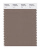 Pantone SMART Color Swatch 17-0909 TCX Fossil