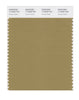 Pantone SMART Color Swatch 17-0929 TCX Fennel Seed