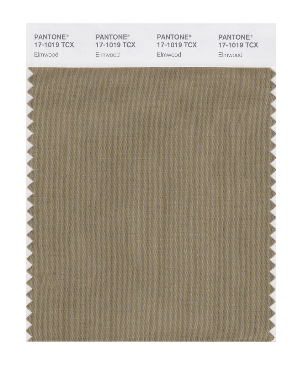 Pantone SMART Color Swatch Card 17-1019 TCX Elmwood - Columbia Omni Studio