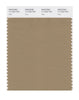 Pantone SMART Color Swatch 17-1022 TCX Kelp