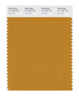 Pantone SMART Color Swatch 17-1048 TCX Inca Gold