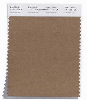 Pantone SMART Color Swatch 17-1115 TCX Petrified Oak