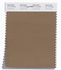 Pantone SMART Color Swatch 17-1115 TCX Petrified Oak