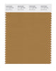 Pantone SMART Color Swatch 17-1128 TCX Bone Brown