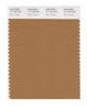 Pantone SMART Color Swatch 17-1134 TCX Brown Sugar