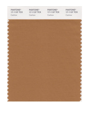 Pantone SMART Color Swatch 17-1137 TCX Cashew