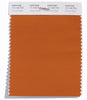 Pantone SMART Color Swatch 17-1145 TCX Autumn Maple