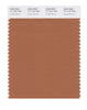 Pantone SMART Color Swatch 17-1147 TCX Amber Brown