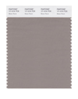 Pantone SMART Color Swatch 17-1210 TCX Moon Rock