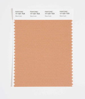 Pantone SMART Color Swatch 17-1221 TCX Macchiato