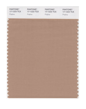 Pantone SMART Color Swatch 17-1223 TCX Praline