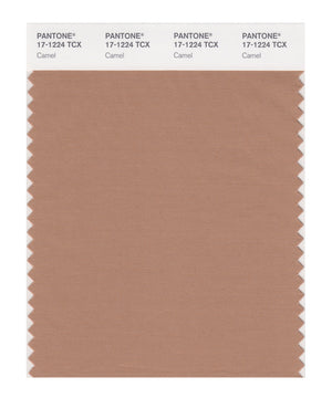 Pantone SMART Color Swatch 17-1224 TCX Camel